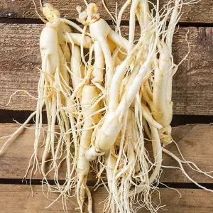 금산인삼 세척 난발삼 소 375g 5년근 씻은삼 진공포장 인삼차 국산 국내산 삼 수삼 원삼 뿌리많은