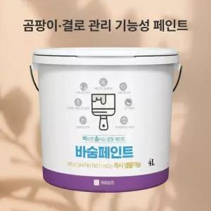 친환경 바숨 페인트 베란다 벽지 목재 아토피 곰팡이 결로 방지 제습 탈취 새집증후군 셀프 4리터
