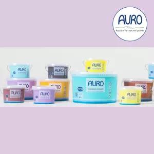 AURO 아우로 No.555 조색(보라계열) 10L(약90㎡시공) 내부용 월페인트 벽지페인