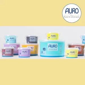 AURO 아우로 No.555 조색(옐로우계열) 1L(약9㎡시공) 내부용 월페인트 벽지페인