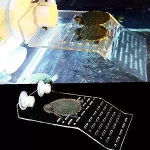 파충류 수조 투명 플라스틱 쉼터 19x12cm 거북 일광욕 부상 육지 공간 중형