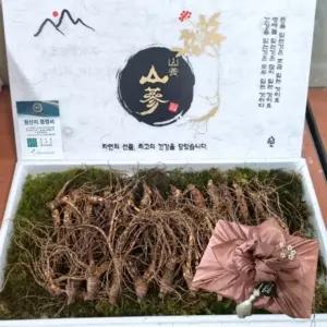 딜로그? 산양삼 10년근 11년근 선물용 고급 3뿌리
