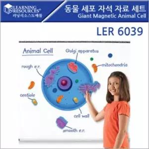 동물세포 자석 자료 세트 Giant Magnetic Animal Cell