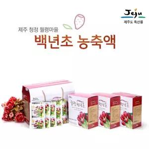 백년초 즙 제주도 백련초 열매 엑기스 손바닥선인장 열매 줄기 백연초 60포