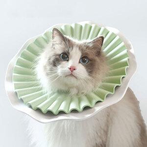 강아지 넥카라 고양이 중성화 수술 보호 깔대기