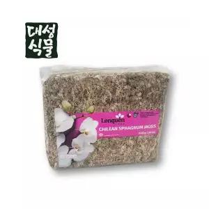 대성식물 칠레 수태 1kg 프리미엄 최고급 천연 풍란 자생란 이끼 토피어리