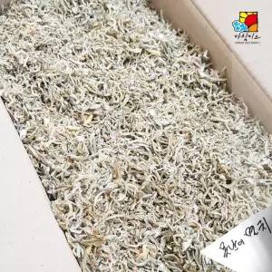 못난이 혼지리 멸치 1.5kg 식당용