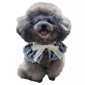 강아지 데님 리본 케이프 1P 면소재 레이스 스카프 강아지망토