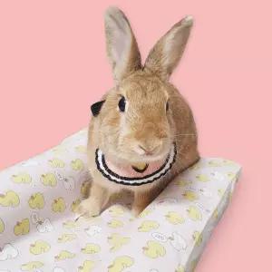 온코 반려동물 턱받침 A 토끼옷 고양이방울 고양이 강아지목줄 소