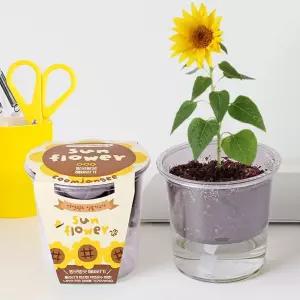 자동급수 저면관수 해바라기 꽃 재배기 화분 세트/식물/키트/DIY/고추/방울토마토/봉선화/키우기/실내/씨앗