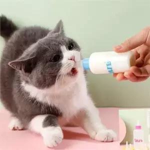 강아지 젖병 고양이 젖병 반려동물 애묘 우유병 급수 용품 사료