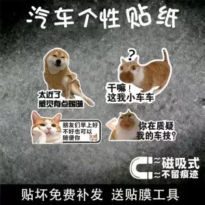 기발하고 웃긴 고양이 스티커 운전용 자동차 경고 데칼 귀여운 캐릭터