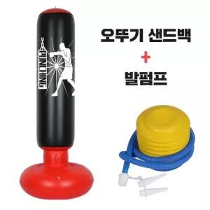 대형 가정용 에어 샌드백 에어펀치백 권투용품 세트 공기주입기 + 홈트레이닝 복싱샌드백 발펌프