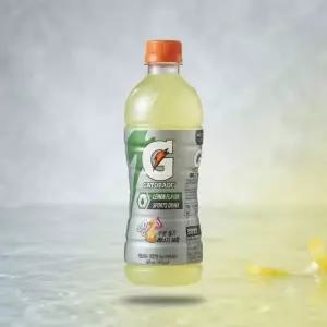게토레이 이온음료 레몬 600ml (20페트)