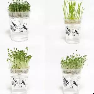 저면관수 미니화분 새싹 키우기 DIY 키트