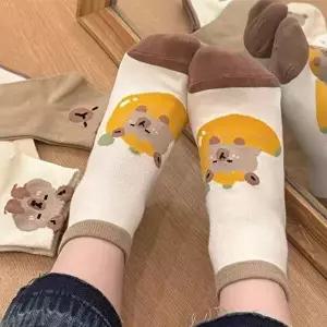 덧신양말 귀엽고 깜찍한 카피바라 캐릭터양말 학생양말 5개세트