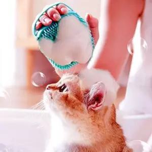 목욕 샴푸 목욕솔 브러쉬 마사지 고양이 강아지 PET
