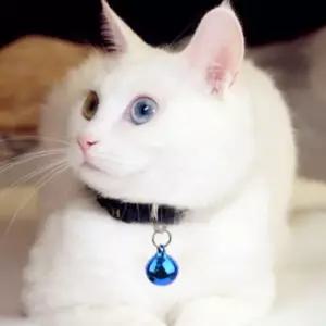 고양이 방울 애견 목걸이 강아지 미니 1P