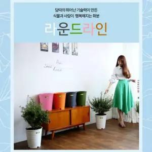 라운드라인350 인테리어 컬러 다육화분 홈가든 [BQB19577]
