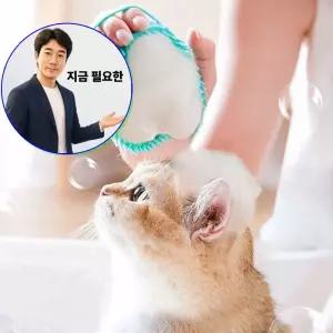 지금 필요한 브러쉬 PET 목욕솔 고양이 샴푸 마사 강아