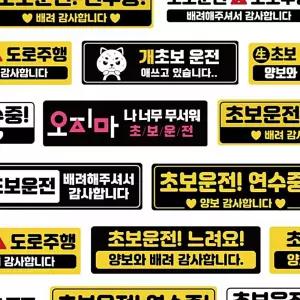 학교 주행연습 초보운전자석 초보운전탈부착 자국안남는 스티커 16디자인 자석 도로주행 하니C1