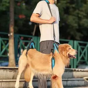 관절 보조기 슬개골 수술 하네스 뒷다리 노견 산책 무릎보호 재활 고정
