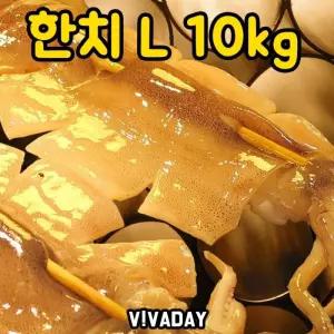 DHD 한치 L 10kg