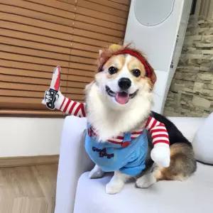 강아지 할로윈 옷 튬 애견 처키 M 고양이