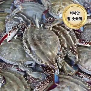 당일조업 서해안 제철 활 꽃게 5kg (숫꽃게 20-30미/빙장포장)