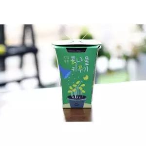 한컵쑥쑥 콩나물키우기 /발달교구/놀이키트/수업교구/교육용품/홈스쿨링/유치원