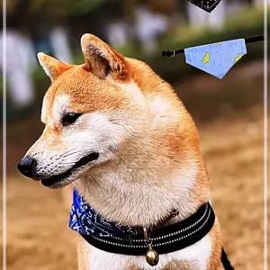 머플러 강아지목걸이 쁘띠스카프 고양이턱받이 쁘띠 애견스카프 강아지 삼각 고양이침받이 61WE50F0C