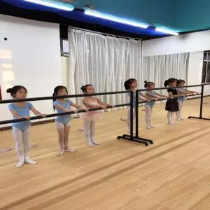 발레바 수평 개인 스트레칭바 평행봉 높이 고정형 연습용 요가바 홈트레이닝 레이어
