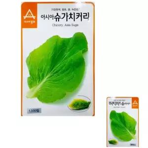 뮤 쌈용 치커리 씨앗 슈가치커리 단맛 종자