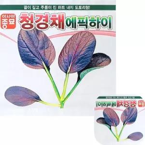 뮤 청경채 씨앗 에픽하이 도토리형 채소 종자 원예 가드닝