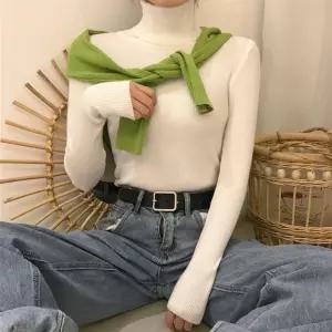 8컬러 골지 울 폴라티 캐시미어 여성 하이넥폴라티