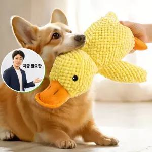 지금 필요한 오리 1P 인형 봉제 애착 터그놀이 강아지 장난감 중형 삑삑이 반려견삑삑이