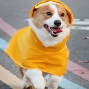 (다올)강아지우비 소형견 중형견 판초 레인코트 방수