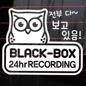 유아스티커 자동차 주유구 차량용 스티커_부엉이블랙박스녹화중01