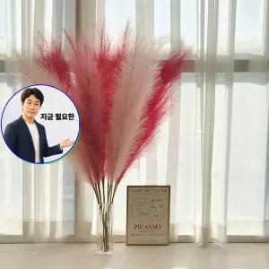 지금 필요한 팜파스 조화 인조 핑크뮬리 억새 갈대 강아풀
