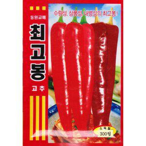 [기타]최고봉 고추씨앗 300립 바이러스에 강한 고추씨