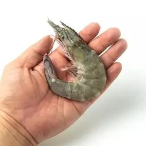 [당일조업] 국내산 대하 생새우 제철 흰다리새우 1kg(45미내외)