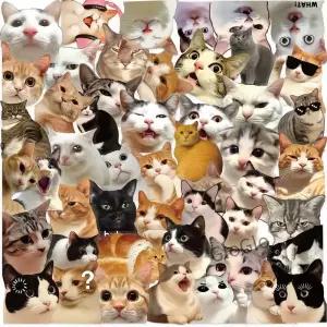 50PCS 만화 고양이 개 밈 투명 스티커 DIY 전화 노트북 수하물 스케이트 보드 낙서 데칼 선물
