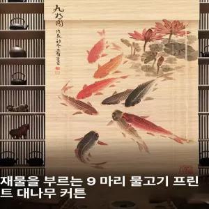 디앤디 금붕어커튼 금붕어 금붕어커텐 인테리어