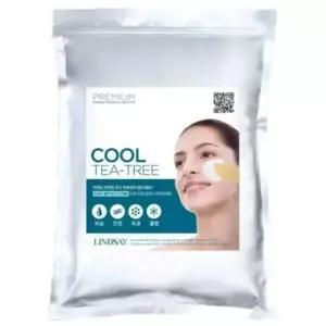린제이 프리미엄 쿨 티트리 모델링 마스크 1kg x 2개