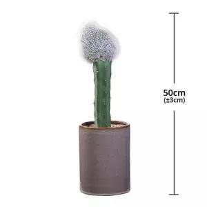 [서울/경기배송] 밍크선인장 화분 50cm 코스트코 코와샵2605