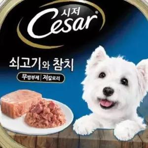 시저캔 강아지간식 습식간식 쇠고기와참치 100g
