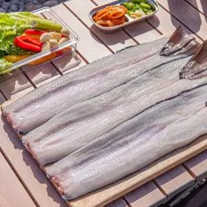 [남도장터] 청암 국산 자포니카 손질 민물장어 1kg 손질후 700g 내외 + 소스2종/초생강
