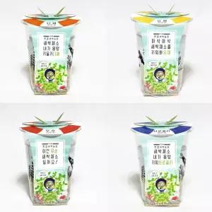 무순 브로콜리 유채 밀싹 재배 세트/학습/새싹/키우기/돌봄/교실/씨앗/수업/식물/기르기/체험/성장