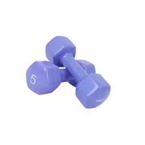 짱틸리티 아이워너 뷰티 육각덤벨 5KG 블루베리 2개 홈트아령