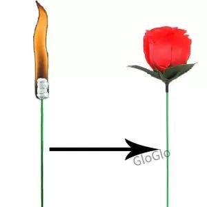 마술 트릭 장미 선물 횃불 변경 참신 깜짝 장난 농담 신비로운